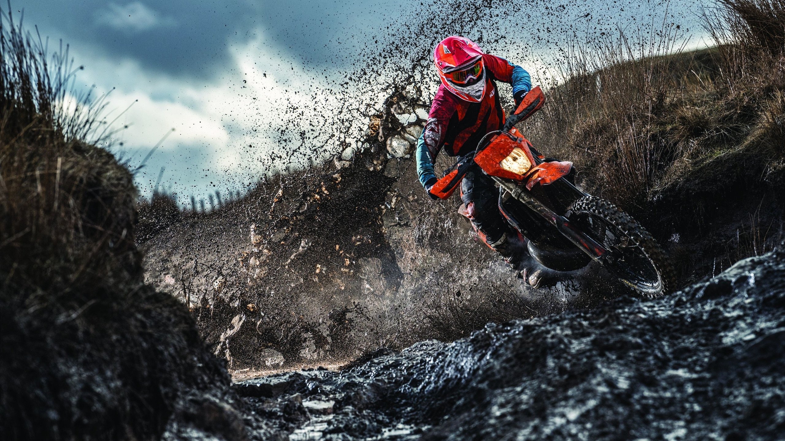 自由泳接力比利时表现出色，自由泳接力夺冠